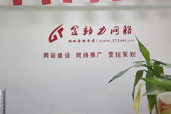 河南金動力網(wǎng)絡(luò)推廣公司2025年比較好多網(wǎng)絡(luò)推廣方式有哪些？